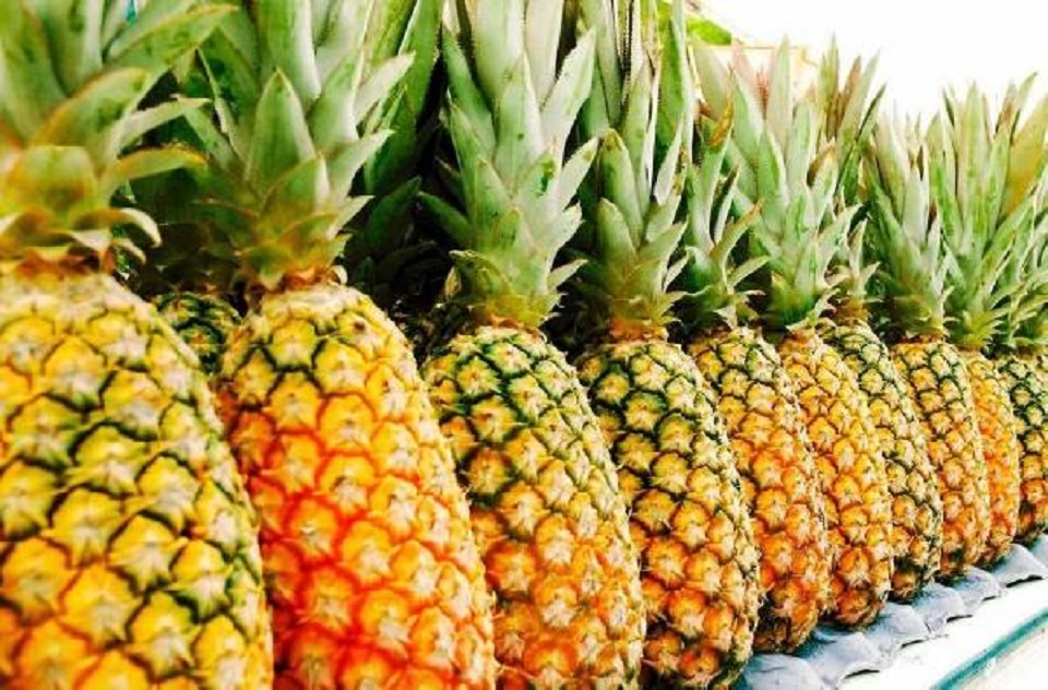Ananas
