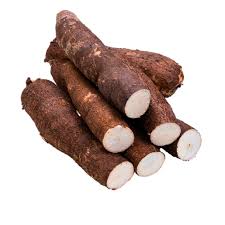 Manioc